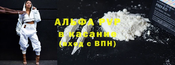 стафф Богородск
