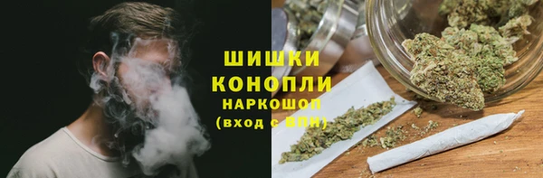 трава Богородицк