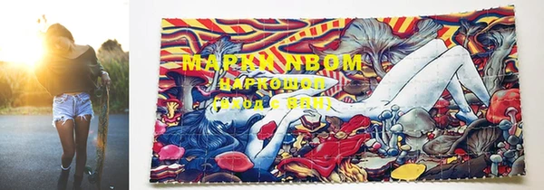 трава Богородицк