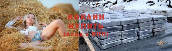 стафф Богородск