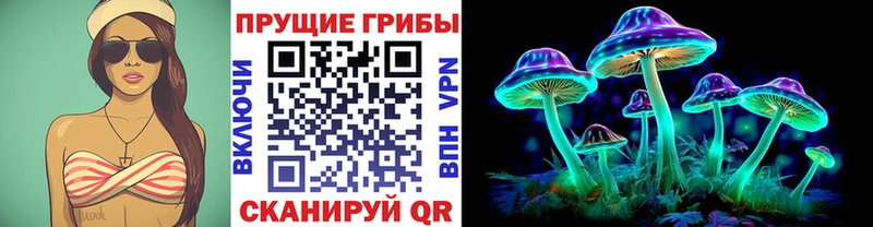 Купить где  Обь  Псилоцибиновые грибы Cubensis 